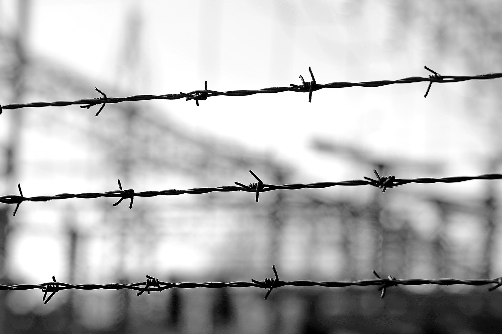 ecbawm-sues-real-estate-developer-over-holocaust-denial-comments